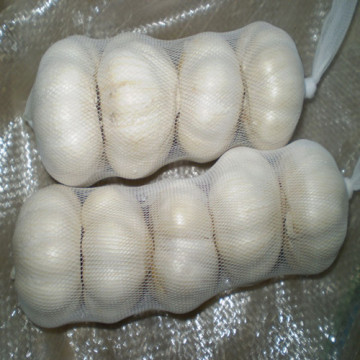 Small Packing Chinese Garlic From Jinxiang Origin