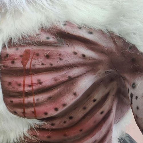 Menyesuaikan Ghost White Haired Werewolf