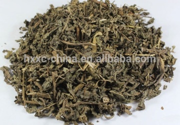 Dried Raw Herbs Botanicals Extract herba patriniae whiteflower patrinia herb Bai Jiang Cao