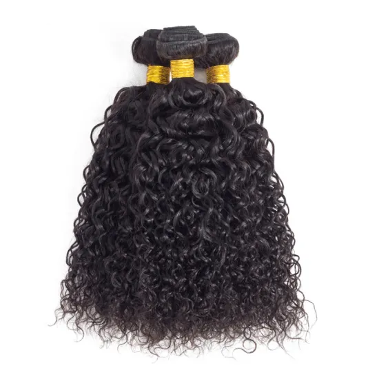 Kinky curly 10 A Grade hair virgin Brazilian hair Bundles with lace front closure 100 human hair bundles for black women