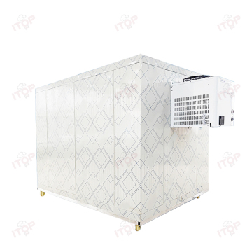 Commercial Cold Storage Solutions: Refrigerators, Freezers, and Chill Rooms