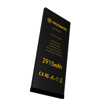 100% lithium-polymeerbatterij voor 6p oplaadbaar