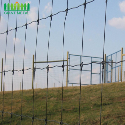 Venta caliente Galvanized Cheap Farm Fence