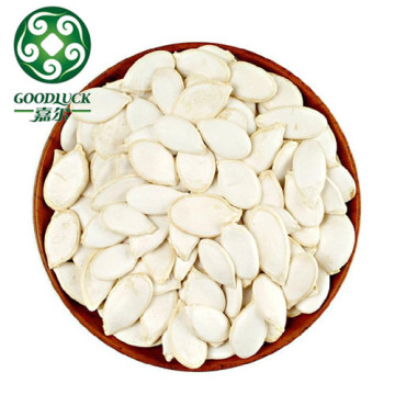 China northest hybrid pumpkin seeds 2015