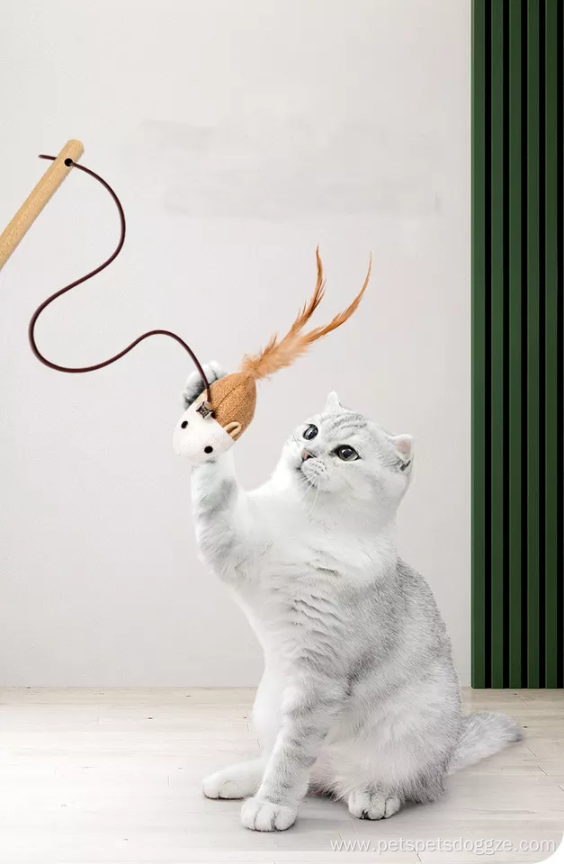 Eco-friendly Funny feather pet cat toys