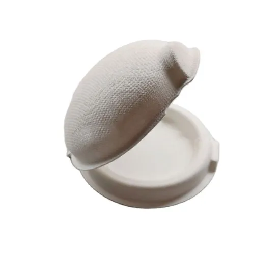 Biodegradable Customized Moulded Pulp Eyelash Packaging Box