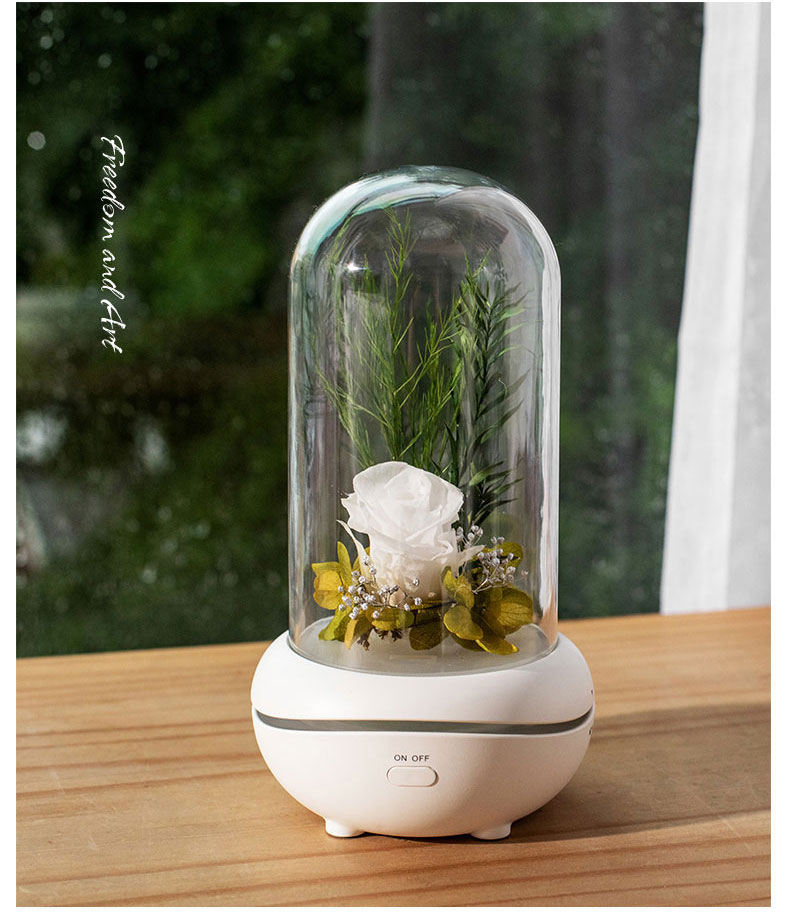 2021 Aroma diffuser rechargeable portable machine