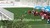 Baby friendly back yard artificial grass