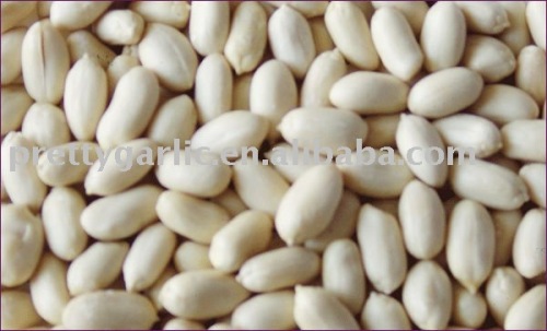 Blanched peanut kernels