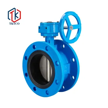 Taike Valve PN10 PN16 EPDM Rubber Seat Cast Iron Worm Gear Double Flange Wafer Butterfly Valve Price
