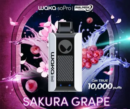 wholesale Waka soPro PA10K Vape