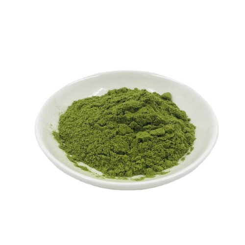 Polyphenols Echinacea Purpurea Extract Dry Mint Powder Peppermint Powder Factory