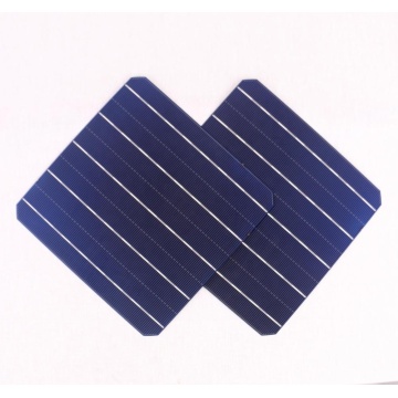 Direct Factory Poly 156mm 6 polegadas 3BB/4BB/5BB Cell Solar