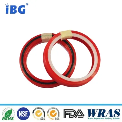 Custom BD Seals Rings