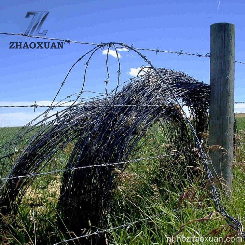 Lage prijs roestvrijstalen gegalvaniseerde prikkeldraad