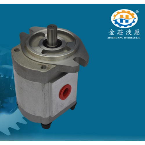 Balanced hydraulic gear pump