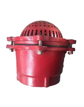 Cast Iron Foot Valve