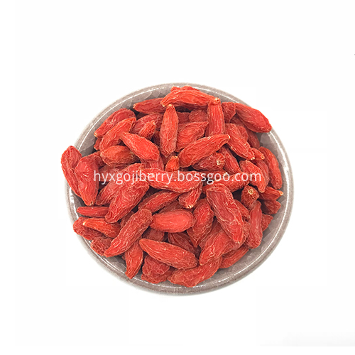 Buah Super Populer Goji Berry Bossgoo Com