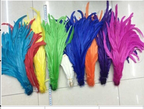 Natrual Raw Decotation Rooster Feather for Carnival