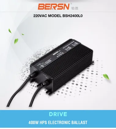 High Demand HPS Ballast 70W/600W High Pressure Sodium Lamps