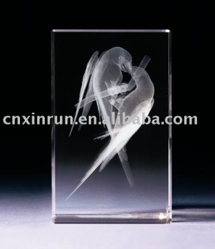 FN681007 crystal award
