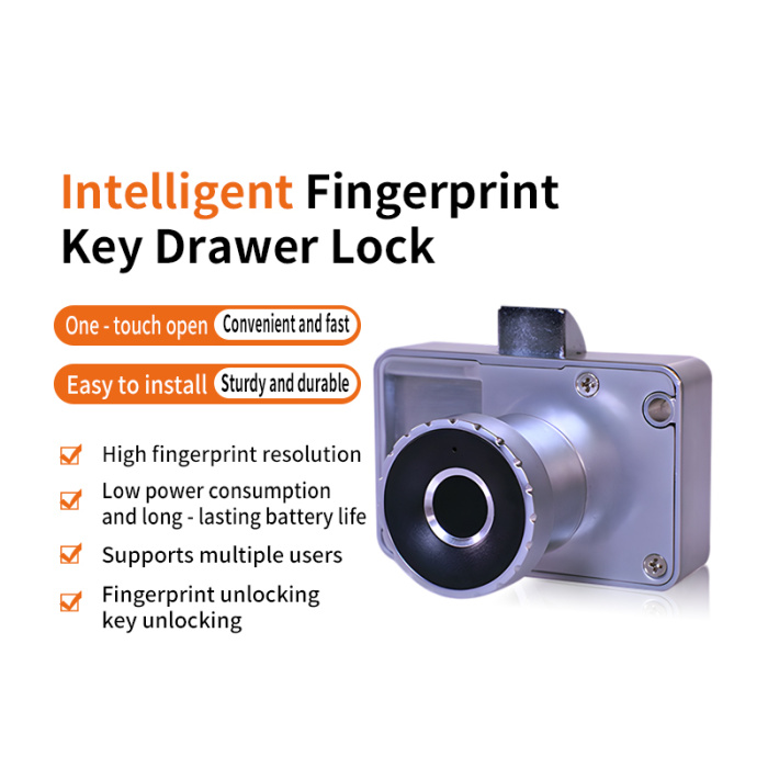 Умный скрытый отпечаток пальцев биометрический шкаф