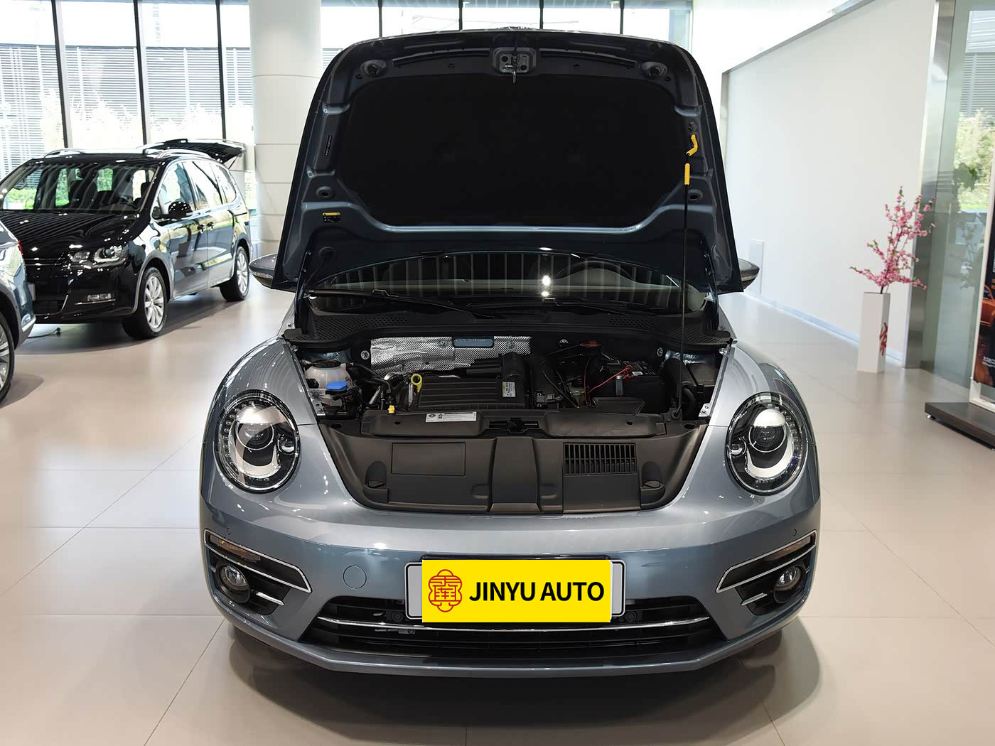 Used 2018 Volkswagen Beetle 280TSI Fun Edition