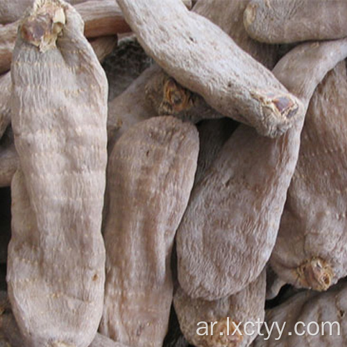 حار بيع Gastrodia elata بلوم الغذاء