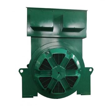 7.2kV High Voltage Double Bearing Industrial Alternator