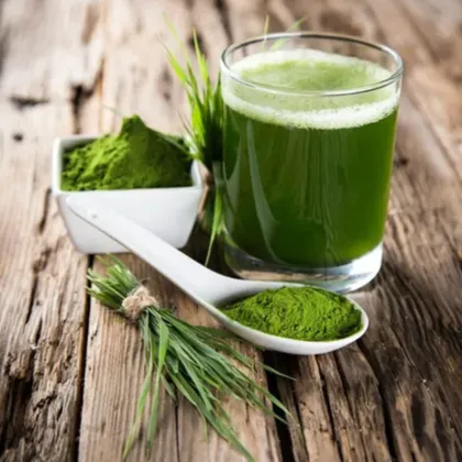 Organic Barley Grass Juice Powder 99%