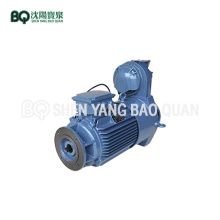 Slewing Motor for Tower Crane