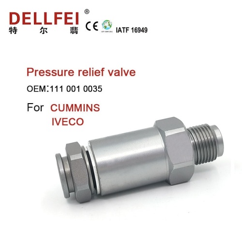 Valve de limiteur de pression de rail commun 111 001 0035