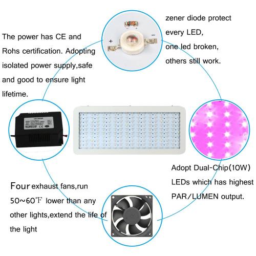 LED de gran capacidad Cultive la luz para el cultivo de la planta