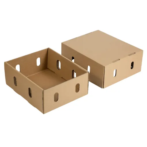 Premium Fruit Box for Fresh Produce Delivery