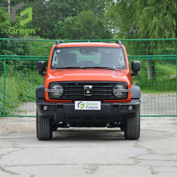 Low Price Gasoline Tank for GWM Vehicle Great Wall Car Cheap SUV - Deposit Now