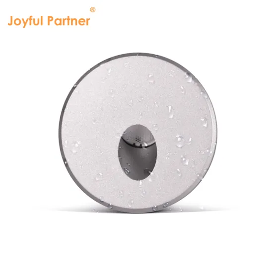 IP65 Mini Wall Light: 1W-3W Integrated LED Stair Light