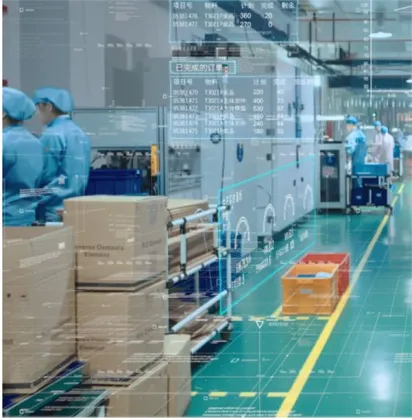 Natural Acai Berry Powder Brazilian Berry Extract