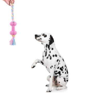 3 jouets de chien interactifs durables