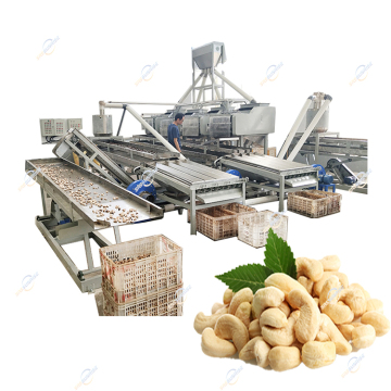 China Manufacturer Cocoa Cashew Grading and Processing Machine