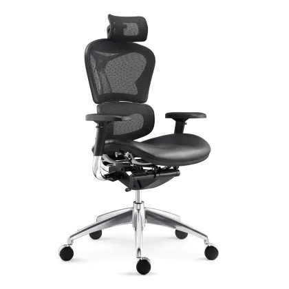 Foshan Wholesale Luxury Ergonomic Office Chair