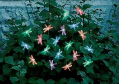 Outdoor Decorative Party Led Solar Powered String Lighting For The Christmas