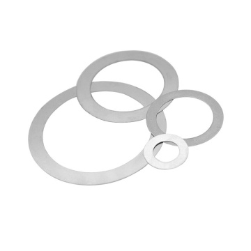 304/316 stainless steel mendukung Rings washer