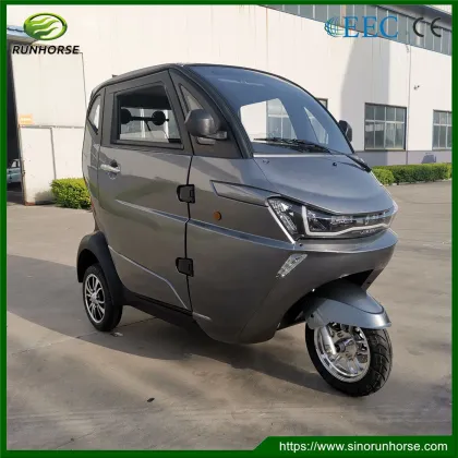 EEC Mini Adult Electric Small Car
