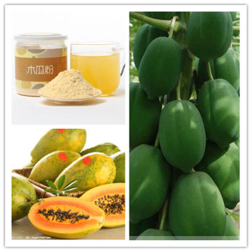 Carica Papaya Powder For Breast Enhancement