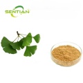 Ginkgo biloba leaf extract ginkgo biloba Extract Powder