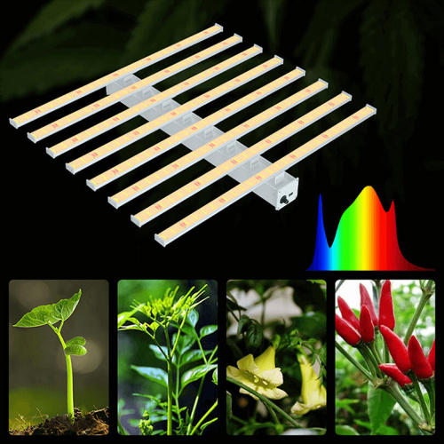 600W Led Grow Light For Indoor Tent