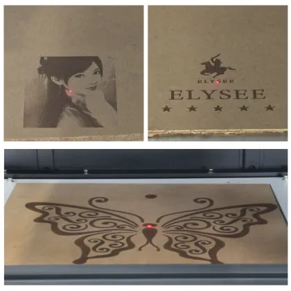 100W Coherent CO2 Laser Marking Machine