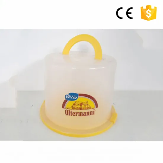 Food Grade mini plastic rectangle cake box clear cake container box