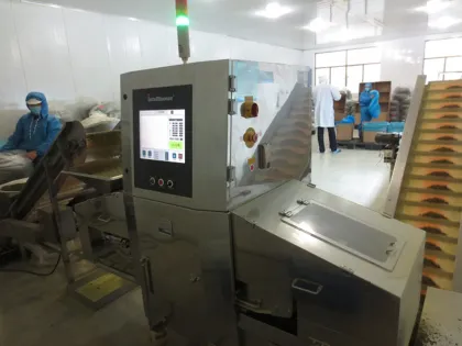 Green Bell pepper Green Color