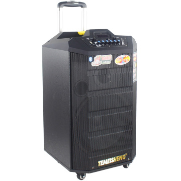 12 Inch Loa Heavy Bass 200 Watt Portable Wooden Speaker for Outdoor Party